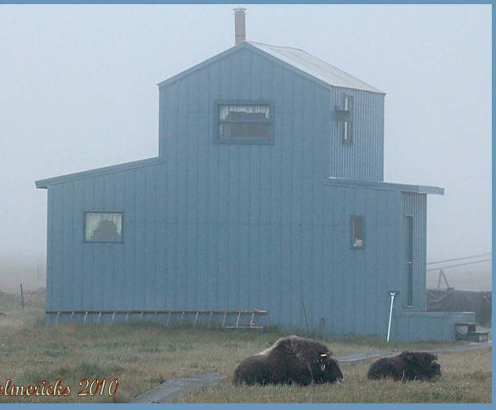 11guestcabin