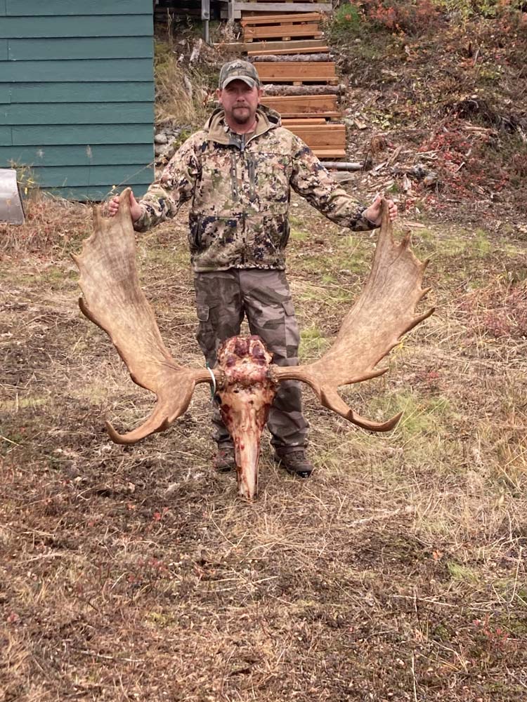 moose2a