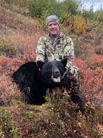 bear1