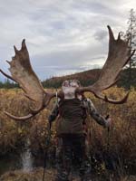 moose1a