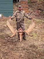 moose2a