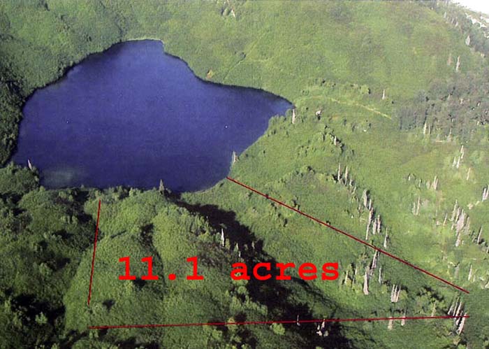pic2